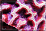 PNG0074