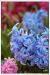 120319_DSF0848