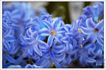 120319_DSF0849