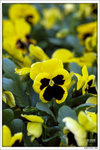 120319_DSF0856