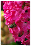 120319_DSF0857