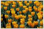 120319_DSF0860