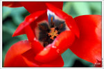 120319_DSF0861