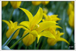 120319_DSF0863