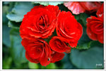 120319_DSF0864
