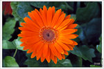 120319_DSF0866