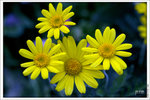 120319_DSF0869