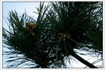 120319_DSF0870