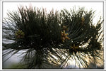 120319_DSF0871