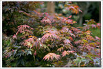 120319_DSF0872