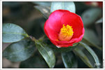 120319_DSF0873