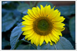 120319_DSF0878