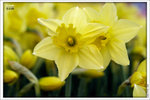 120319_DSF0879
