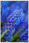 120319_DSF0882