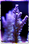 PNG0012