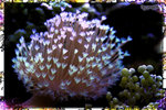 PNG0019