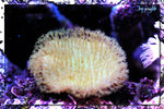 PNG0065