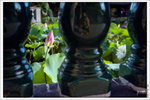 _DSF0081
