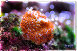 PNG0330