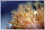 PNG0018