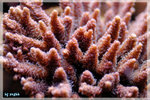 PNG0022
