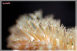PNG0024