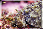 PNG0003