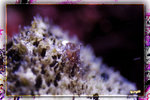 PNG0005