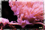 PNG0036