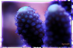 PNG0170