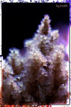 PNG0180