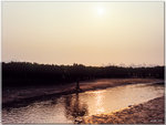 scan0002
