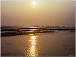 scan0004