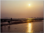 scan0005