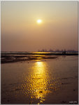 scan0006