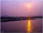 scan0007