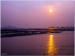 scan0008