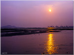 scan0009