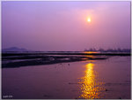 scan0010