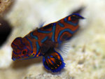 PNG0110