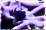 PNG0047