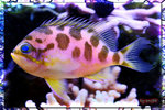 PNG0055