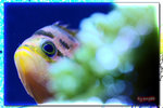 PNG0056