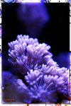 PNG0060