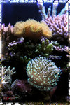 PNG0067