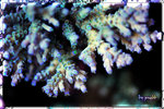 PNG0120
