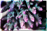 PNG0123
