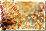 PNG0153