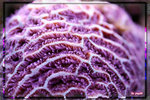 PNG0011