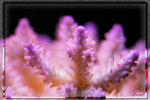 PNG0076
